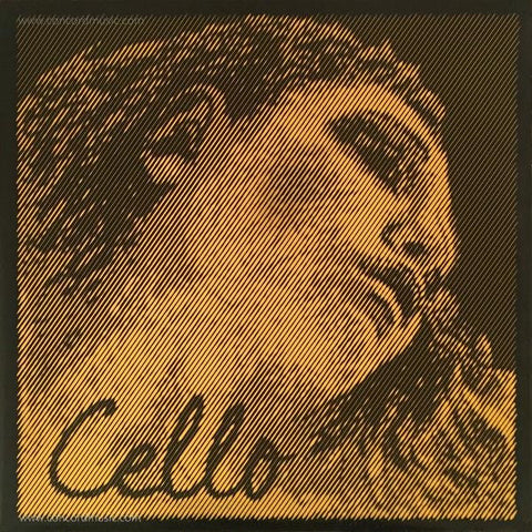 Pirastro Evah Pirazzi Gold Cello Set