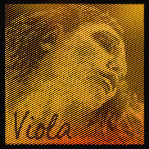 Pirastro Evah Pirazzi Gold Viola C