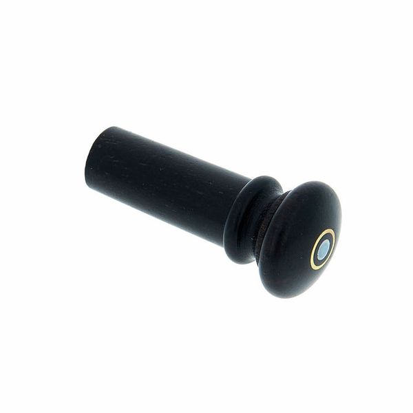 Paris eye insight endpin