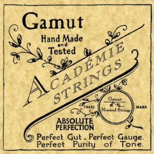 Gamut Violin Pistoy Gut String D