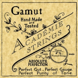 Gamut Violin Gut/ Silver String G