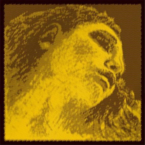 Pirastro Evah Pirazzi Gold Violin Strings