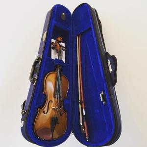 Chinese Student Violin Outfit Labelled Stentor I